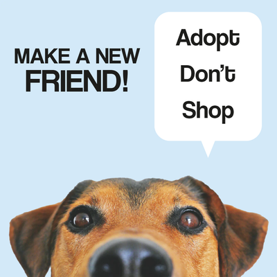 Custom Outdoor Yard Signs Multiple Sizes Make New Friend