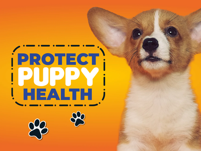 Custom Outdoor Yard Signs Multiple Sizes Protect Puppy Health