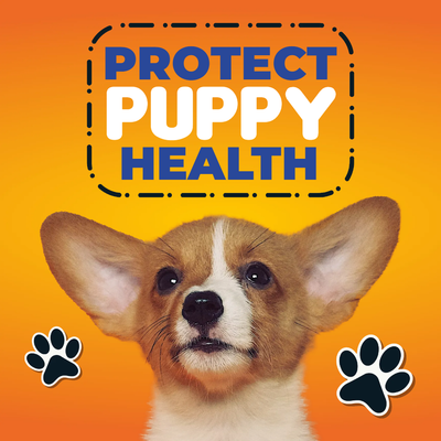 Custom Outdoor Yard Signs Multiple Sizes Protect Puppy Health