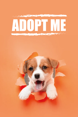 Custom Outdoor Yard Signs Multiple Sizes Adopt Me
