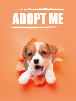 Custom Outdoor Yard Signs Multiple Sizes Adopt Me
