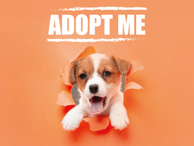 Custom Outdoor Yard Signs Multiple Sizes Adopt Me