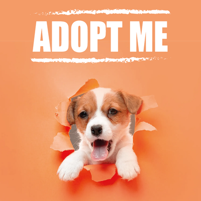 Custom Outdoor Yard Signs Multiple Sizes Adopt Me