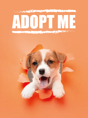 Custom Outdoor Yard Signs Multiple Sizes Adopt Me