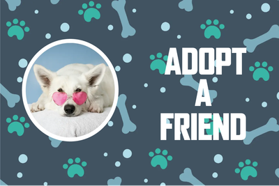 Custom Outdoor Yard Signs Multiple Sizes Adopt A Friend