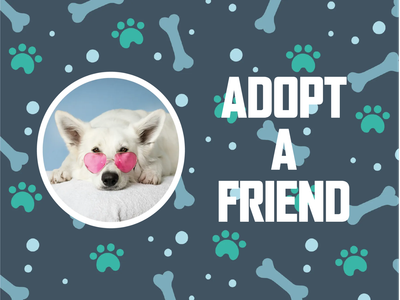 Custom Outdoor Yard Signs Multiple Sizes Adopt A Friend