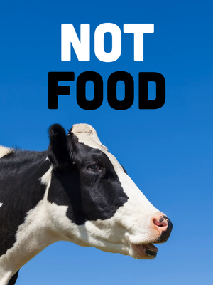 Custom Outdoor Yard Signs Multiple Sizes Not Food