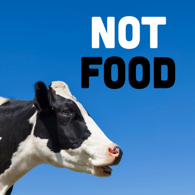 Custom Outdoor Yard Signs Multiple Sizes Not Food