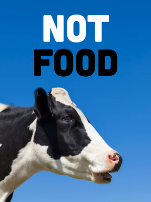 Custom Outdoor Yard Signs Multiple Sizes Not Food