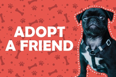 Custom Outdoor Yard Signs Multiple Sizes Adopt Friend