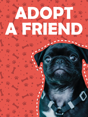 Custom Outdoor Yard Signs Multiple Sizes Adopt Friend