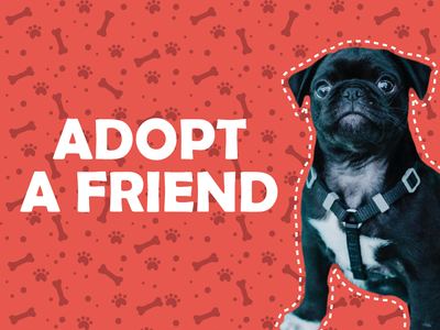 Custom Outdoor Yard Signs Multiple Sizes Adopt Friend