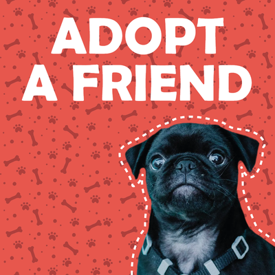 Custom Outdoor Yard Signs Multiple Sizes Adopt Friend