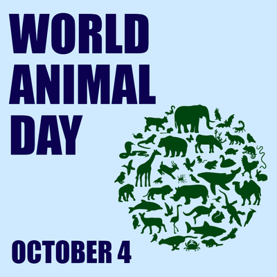 Custom Outdoor Yard Signs Multiple Sizes Happy Animal Day