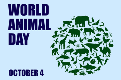Custom Outdoor Yard Signs Multiple Sizes Happy Animal Day