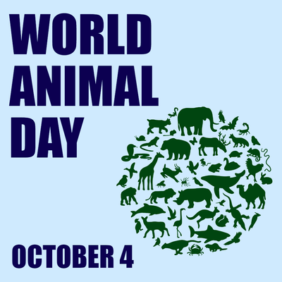Custom Outdoor Yard Signs Multiple Sizes Happy Animal Day
