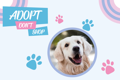 Custom Outdoor Yard Signs Multiple Sizes Adopt Not Shop