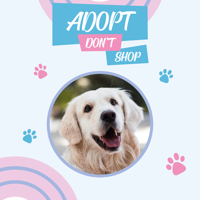 Custom Outdoor Yard Signs Multiple Sizes Adopt Not Shop