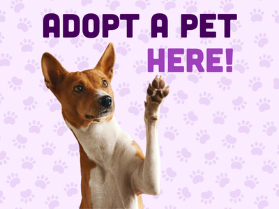 Custom Outdoor Yard Signs Multiple Sizes Adopt Pet Here