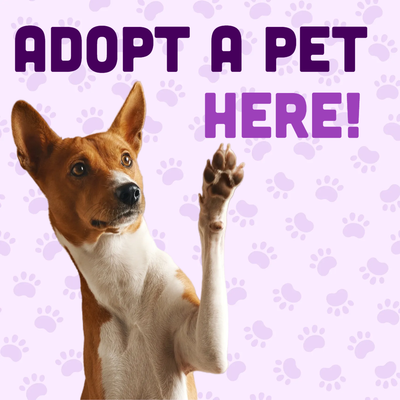 Custom Outdoor Yard Signs Multiple Sizes Adopt Pet Here