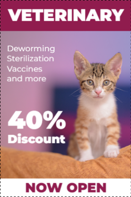 Custom Outdoor Yard Signs Multiple Sizes Veterinary