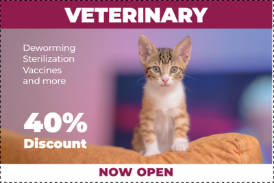 Custom Outdoor Yard Signs Multiple Sizes Veterinary