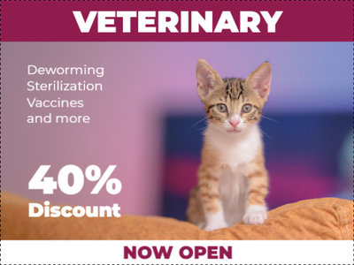 Custom Outdoor Yard Signs Multiple Sizes Veterinary