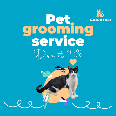 Custom Outdoor Yard Signs Multiple Sizes Pet Grooming Service