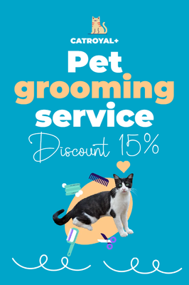 Custom Outdoor Yard Signs Multiple Sizes Pet Grooming Service