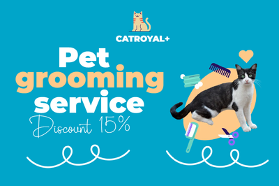 Custom Outdoor Yard Signs Multiple Sizes Pet Grooming Service