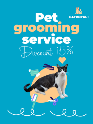 Custom Outdoor Yard Signs Multiple Sizes Pet Grooming Service