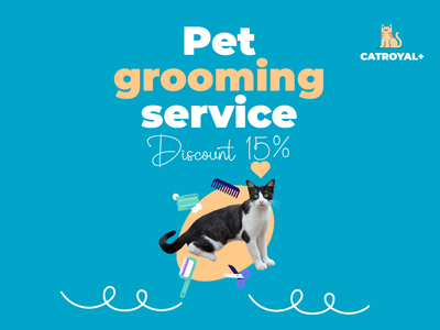 Custom Outdoor Yard Signs Multiple Sizes Pet Grooming Service