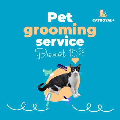 Custom Outdoor Yard Signs Multiple Sizes Pet Grooming Service