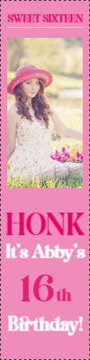 Custom Outdoor Yard Signs Multiple Sizes Sweet Sixteen