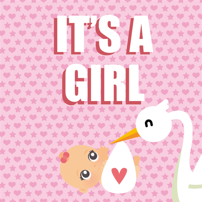 Custom Outdoor Yard Signs Multiple Sizes Its A Girl