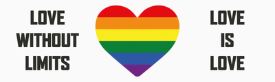 Custom Bumper Stickers Multiple Sizes Love Is Love