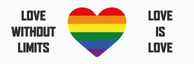 Custom Bumper Stickers Multiple Sizes Love Is Love
