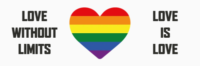 Custom Bumper Stickers Multiple Sizes Love Is Love