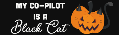 Custom Bumper Stickers Multiple Sizes My Co-Pilot