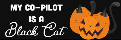 Custom Bumper Stickers Multiple Sizes My Co-Pilot
