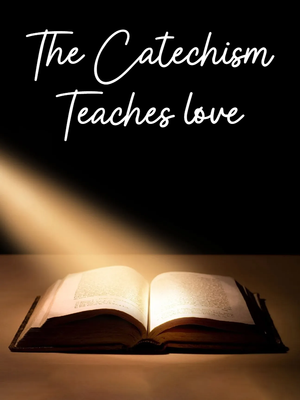 Custom Outdoor Yard Signs Multiple Sizes Catechism Teaches Love