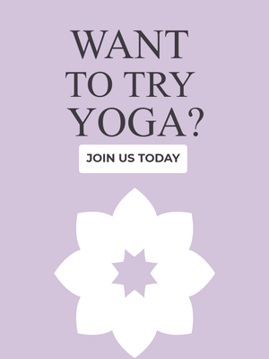 Custom Car Magnets Multiple Sizes Yoga Instructors 1