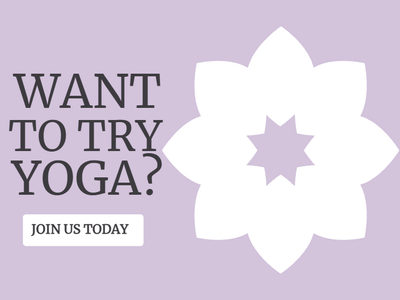 Custom Car Magnets Multiple Sizes Yoga Instructors 1