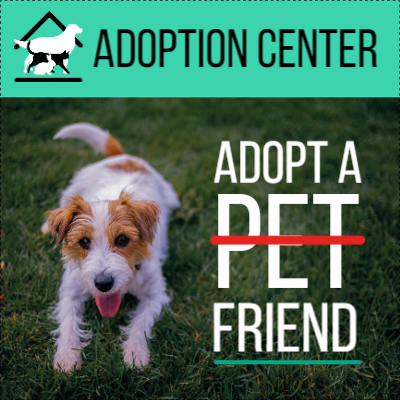 Custom Outdoor Yard Signs Multiple Sizes  Adoption Center