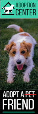 Custom Outdoor Yard Signs Multiple Sizes  Adoption Center