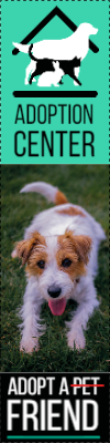 Custom Outdoor Yard Signs Multiple Sizes  Adoption Center