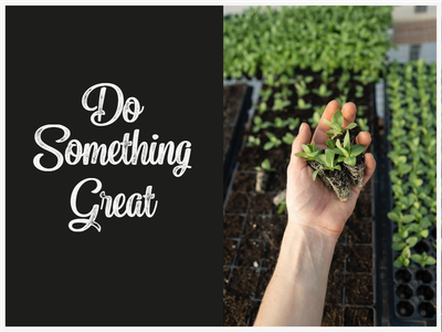 Custom Outdoor Yard Signs Multiple Sizes  Do Something Great