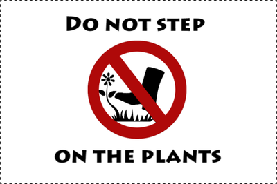 Custom Outdoor Yard Signs Multiple Sizes Do not Step the Plants