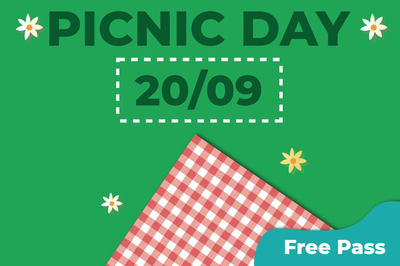 Custom Outdoor Yard Signs Multiple Sizes Picnic Day