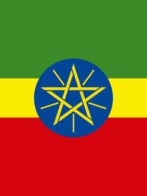 Custom Outdoor Yard Signs Multiple Sizes Ethiopia